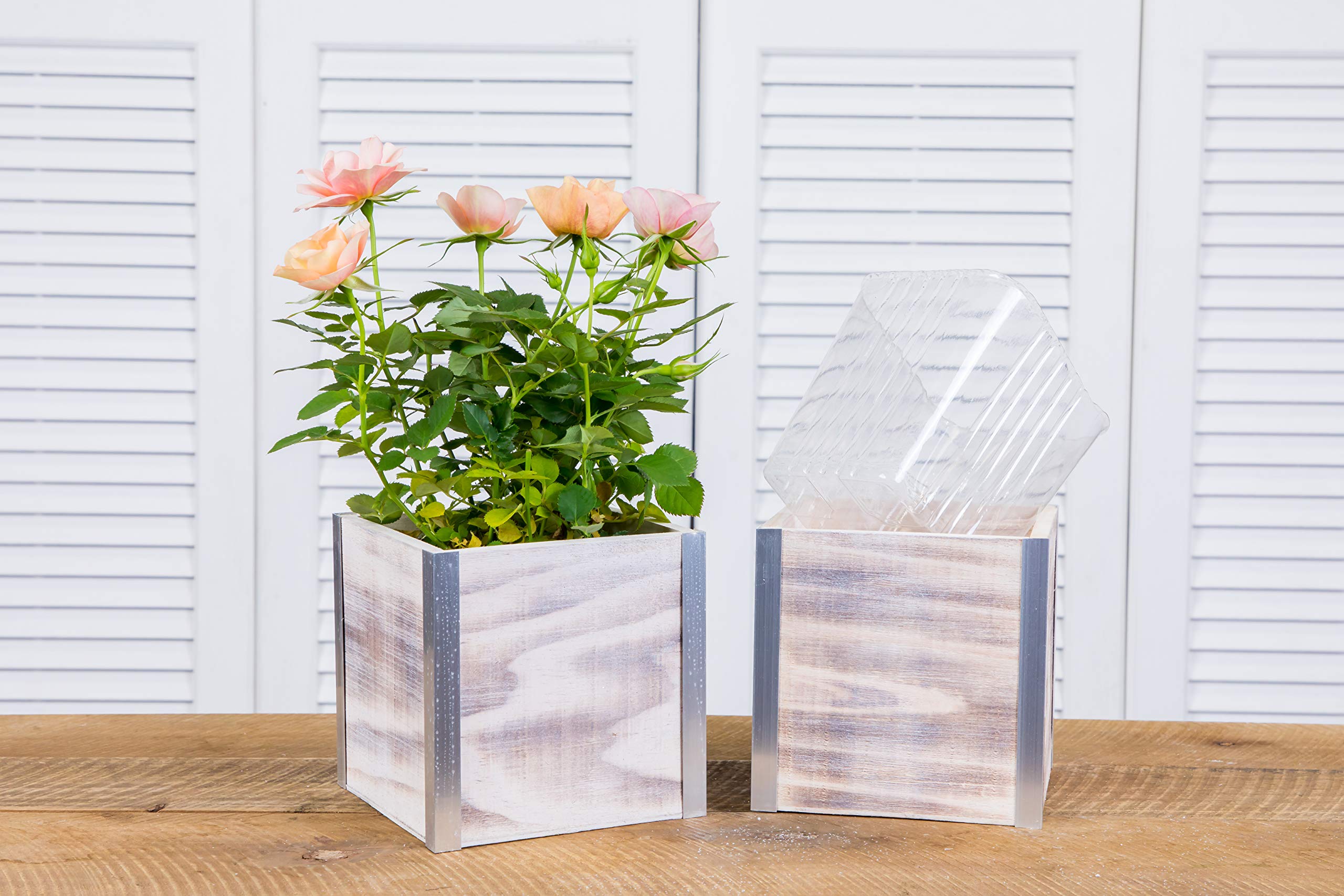 Wood Planter Box with Tin Style, 5 Inch Square, Plastic Liner (Set of 4