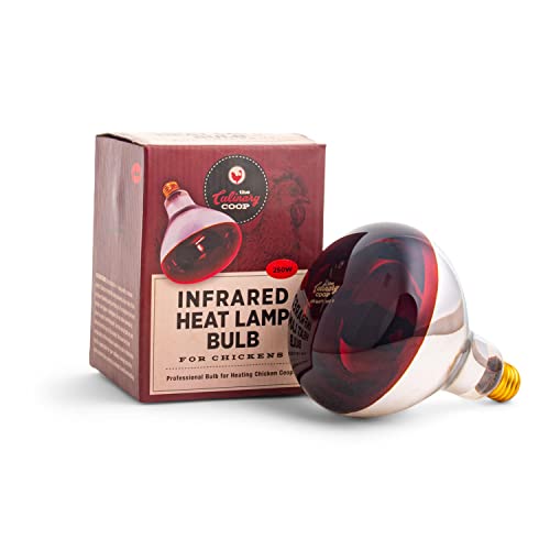 Culinary Coop Infrared Heat Lamp for Chicken Coop or Outdoor Animals - 250 Watt Culinary Coop Infrared Heat Lamp for Chicken Coop or Outdoor Animals - 250 Watt