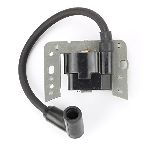 Modulo Accensione Per Motori Piccoli Bobina Di Accensione Per - Foto 12