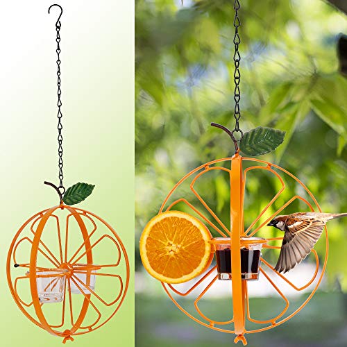 FORUP Oriole Bird Feeder for Outdoors Jelly and Oranges Orange Fruit Oriole Jel
