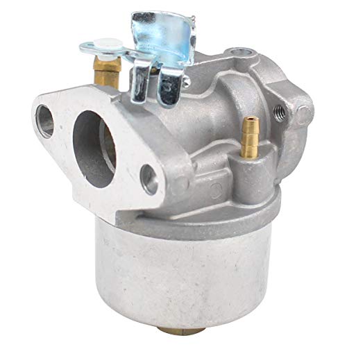 MOTOKU 798917 Carburetor for Briggs Stratton Engine for Craftsman for ...