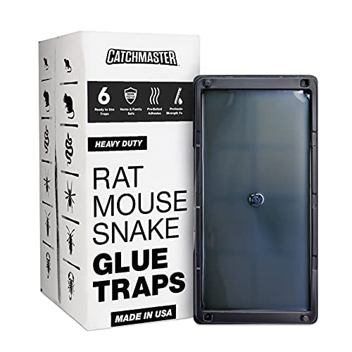 Heavy-Duty Rat Mouse Snake & Insect Glue Trap by Catchmaster - 6 Pre-Baited Tray
