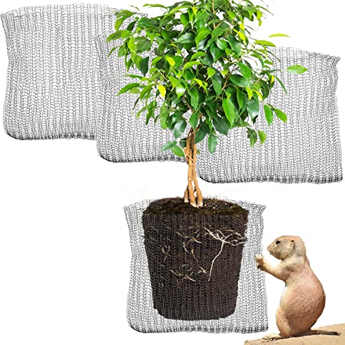 GiftExpress 15 Gallon Gopher and Vole Wire Speed Baskets Plant Root Protector G GiftExpress 15 Gallon Gopher and Vole Wire Speed Baskets Plant Root Protector G