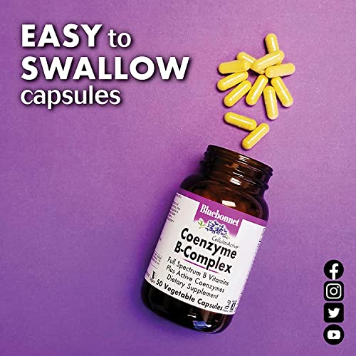 Bluebonnet CoEnzyme B-Complex 100 Caps & Zeaxanthin Plus Lutein 60 Softgels Bundle