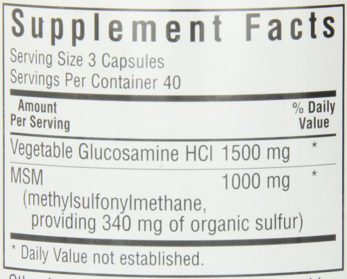 BlueBonnet Vegetarian Glucosamine Plus MSM, 120 Count